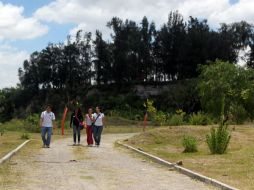 El polígono de 36 mil metros cuadrados del bosque Colomos III quedaría bajo protección del municipio. ARCHIVO /