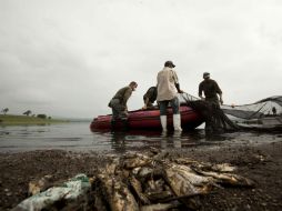 Buscan imponer multa de 1.2 MDP para reponer daño ambiental a la Presa Valencia. ARCHIVO /