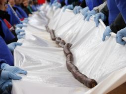 La morcilla se cortó en porciones para venderse entre el público que asistió al acto. AFP /