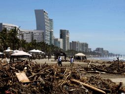 Comerciantes en la zona turística de Acapulco ya trabajan para limpiar el puerto. ARCHIVO /