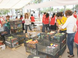 El centro de acopio está ubicado en las instalaciones del CGSU, en calle Escorza 145. ARCHIVO /