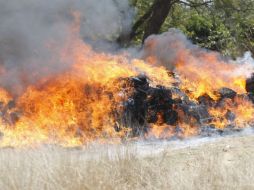 La mariguana sigue siendo la droga más destruida y asegurada por soldados de la V Región Militar. ARCHIVO /