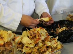 Productores buscarán conquistar mercados internacionales. ARCHIVO /