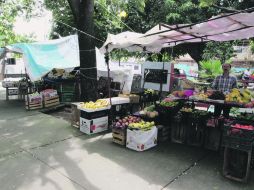 Guadalajara. Hoy no hay presupuesto ni proyecto para hacer otro edificio  /