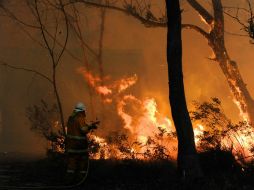 Hasta el momento no han podido precisar el número de viviendas dañada. EFE /