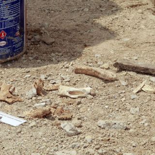 Encuentran osamenta en deportivo de Azcapotzalco