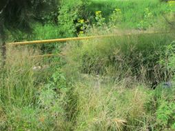 El cuerpo fue encontrado por vecinos de la colonia Valdepeñas en Zapopan. ESPECIAL /