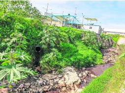 AIRE LIBRE. Residuos de sangre del rastro de Zapopan en el cauce ubicado en una calle sin nombre, que vecinos conocen como El Callejón.  /