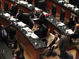 Tras cinco horas de discusión, el Senado aprueba el dictamen con seis modificaciones en los artículos reservados. ARCHIVO /