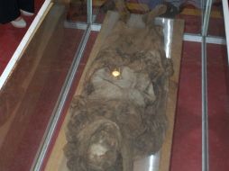 Los cuerpos momificados fueron donados por los familiares. ESPECIAL /