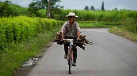 En lo que va del año se han certificado 87 núcleos agrarios. ARCHIVO /