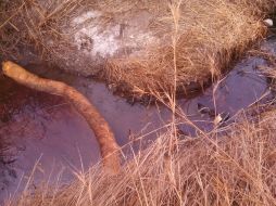 Informan que es complicado ventilar el sentido en que van las investigaciones del Ministerio Público respecto a la fuga.  /