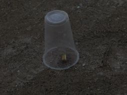 En el lugar fueron encontrados numerosos casquillos de bala. ARCHIVO /