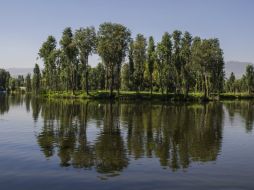 Xochimilco se unió a la Red Internacional de Ciudades con Patrimonio Intangible Excepcional. ARCHIVO /