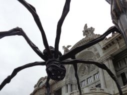 Esta escultura arácnida creada en 1999 por Bourgeois nacionalizada estadounidense, pesa más de diez toneladas. EFE /