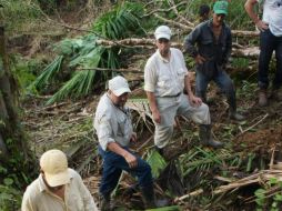 Personas de la Fundación para el Ecodesarrollo y la Conservación siembran árboles en un área forestal. EFE /