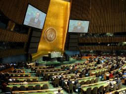 Palestina no es miembro de pleno derecho de la ONU y no puede participar en la toma de decisiones de sus organismos. ARCHIVO /