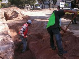 Imagen de los trabajos que comenzaron en el camellón de la avenida Normalistas.  /