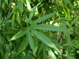 El dictamen será votado en el Pleno el próximo 10 de diciembre. ARCHIVO /