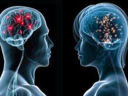 La investigación revela que las mujeres son superiores a los hombres en cuanto a su capacidad de atención. ESPECIAL /