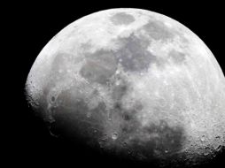 El vívero consistiría en una cámara sellada, que tendrá un filtro de papel con nutrientes disueltos. ARCHIVO /