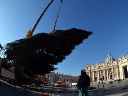Tras su desmontaje, el 2 de febrero próximo, su madera será utilizada para realizar pequeños objetos de uso cotidiano y juguetes. AFP /