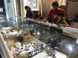 El próximo 19 de Diciembre no olvide visitar el Museo de la Ciudad para observar los trabajos realizados por los alumnos del seminario- ARCHIVO /