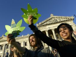 La gente en ese país celebra la decisión que permitirá la comercialización del enervante. AP /