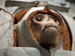 El mono, de nombre Fargam, realizó un vuelo de quince minutos y regresó a la tierra sano y salvo. ESPECIAL /