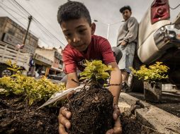 Señalan que la obra del Corredor Multimodal incluye la rehabilitación de la zona, y una de las acciones es la visión ecológica.  /