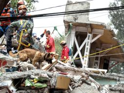 Las labores de búsqueda y rescate continuarán hasta agotar todas las posibilidades.