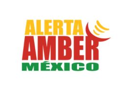 La Alerta Amber fortalece la búsqeuda y localización de menores que se encuentren en riesgo por desaparición, extravío o secuestro. ESPECIAL /