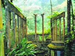 Laberinto. Cual ciudad perdida de novela de ciencia ficción, aparece Xilitla entre la selva potosina.  /