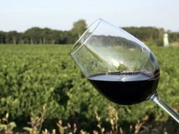 Aspecto de una copa de vino. ARCHIVO /