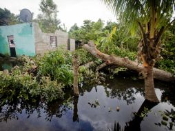 Expertos dialogan con el gobierno de Tabasco por las recientes inundaciones causadas por los frentes fríos. ARCHIVO /