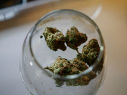 El consumo de mariguana terapeútica en Nueva York se limitaría a pacientes de 20 hospitales. ARCHIVO /