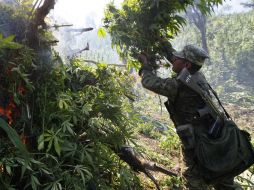 La citada región castrense tiene operaciones en los estados de Jalisco, Nayarit, Colima, Aguascalientes y Zacatecas. ARCHIVO /
