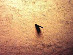 El machete incrustado en un muro del patio permanecerá hasta el 10 de febrero.  /