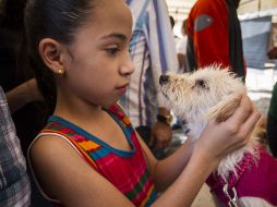 No hay duda de que los animales y las personas se comunican, pero algunos lo hacen mejor que otros. ARCHIVO /
