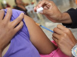 Recomiendan a la población más vulnerable a vacunarse contra la influenza. ARCHIVO /