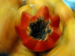 No basta con cortar el pedazo dañado, porque los hongos se distribuyen en los alimentos con alto contenido de agua, como la papaya. ARCHIVO /