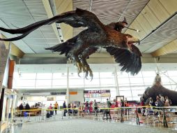 El ave promociona la trilogía de la película del director Peter Jackson,  precuela de 'El Señor de los anillos'. AP /