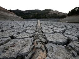 La mayoría de los distritos, tienen muy pocos clientes para colectar ingresos suficientes para pagar suministros de agua de respaldo. AFP /