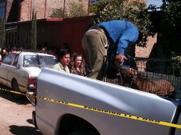 Autoridades se llevaron al perro.  /