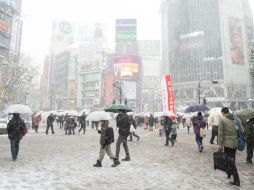 Cerca de 27 centímetros de nieve cubrieron las calles de Tokio, algo que no ocurría desde hace 45 años. EFE /