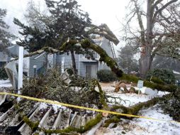 Autoridades retiran parte de un árbol que cayó sobre una casa en Oregon. AP /