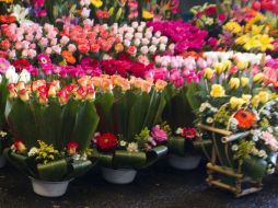 Algunas personas compran arreglos florares en la frontera mexicana para transportarlos a las ciudades de Texas. NTX /