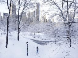 Cerca de 1.2 millones de personas se quedaron sin electricidad en San Valentín por el fenómeno. AP /