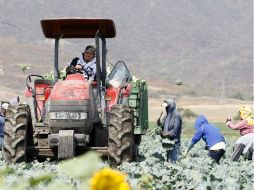 Más de 20 mil campesinos han sufrido extorsiones de diversos tipos. ARCHIVO /