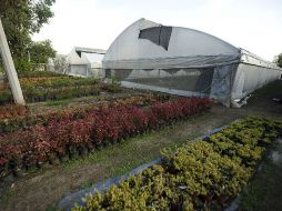 Un diseño estratégico de la vivienda optimiza la energía natural del viento, agua y sol permitiendo aprovecharla en el hogar. ARCHIVO /
